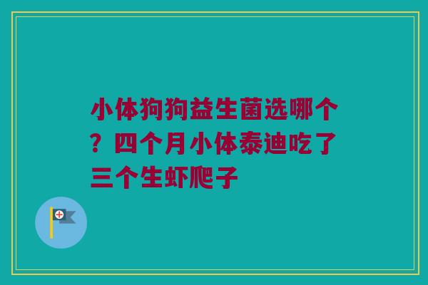小体狗狗益生菌选哪个？四个月小体泰迪吃了三个生虾爬子