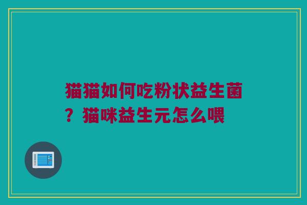 猫猫如何吃粉状益生菌？猫咪益生元怎么喂