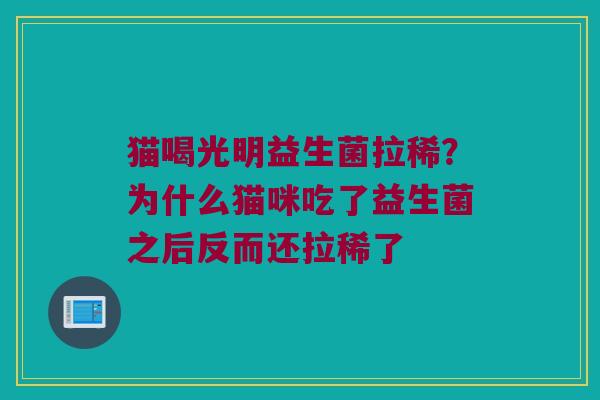 猫喝光明益生菌拉稀？为什么猫咪吃了益生菌之后反而还拉稀了