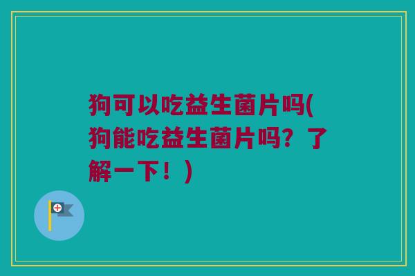 狗可以吃益生菌片吗(狗能吃益生菌片吗？了解一下！)