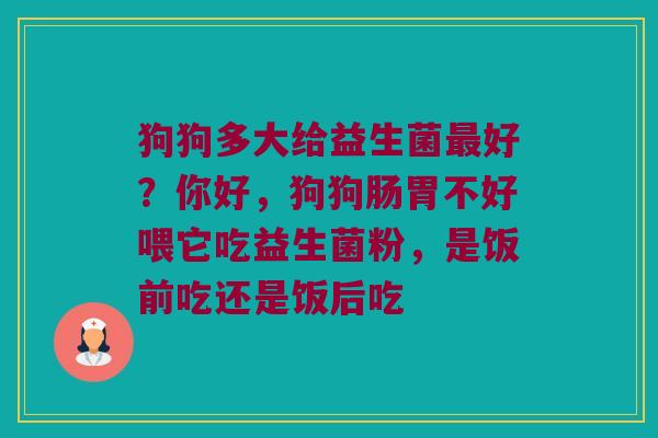 狗狗多大给益生菌好?你好,狗狗肠胃不好喂它吃益生菌粉,是饭前吃还是饭后吃 狗狗多大给益生菌好?你好,狗狗肠胃不好喂它吃益生菌粉,是饭前吃还是饭后吃