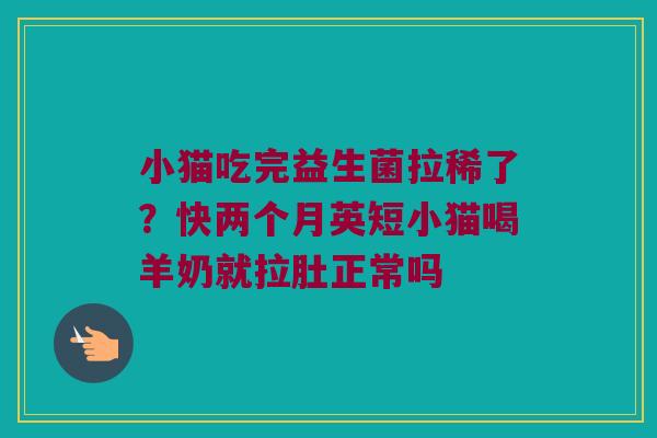 小猫吃完益生菌拉稀了？快两个月英短小猫喝羊奶就拉肚正常吗