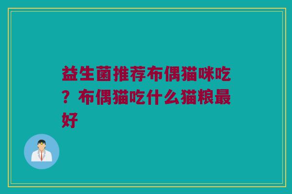 益生菌推荐布偶猫咪吃？布偶猫吃什么猫粮最好