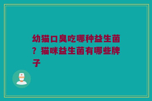 幼猫吃哪种益生菌?猫咪益生菌有哪些牌子 幼猫吃哪种益生菌?猫咪益生菌有哪些牌子