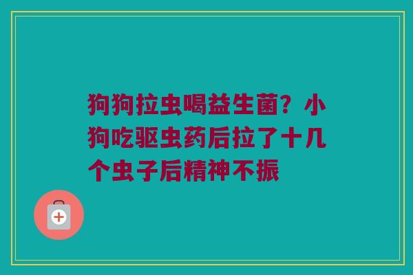 狗狗拉虫喝益生菌?小狗吃驱虫药后拉了十几个虫子后精神不振 狗狗拉虫喝益生菌?小狗吃驱虫药后拉了十几个虫子后精神不振
