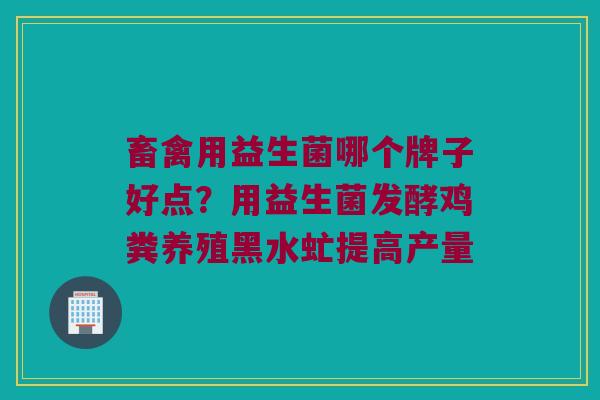 畜禽用益生菌哪个牌子好点?用益生菌发酵鸡粪养殖黑水虻提高产量 畜禽用益生菌哪个牌子好点?用益生菌发酵鸡粪养殖黑水虻提高产量