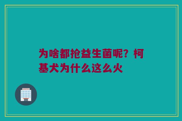 为啥都抢益生菌呢？柯基犬为什么这么火
