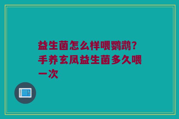 益生菌怎么样喂鹦鹉？手养玄凤益生菌多久喂一次
