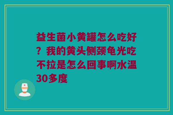 益生菌小黄罐怎么吃好?我的黄头侧颈龟光吃不拉是怎么回事啊水温30多度 益生菌小黄罐怎么吃好?我的黄头侧颈龟光吃不拉是怎么回事啊水温30多度