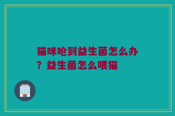 猫咪呛到益生菌怎么办？益生菌怎么喂猫