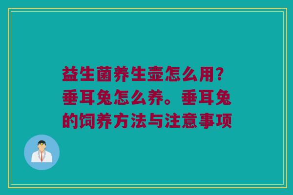 益生菌养生壶怎么用？垂耳兔怎么养。垂耳兔的饲养方法与注意事项