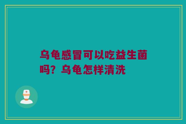 乌龟感冒可以吃益生菌吗？乌龟怎样清洗