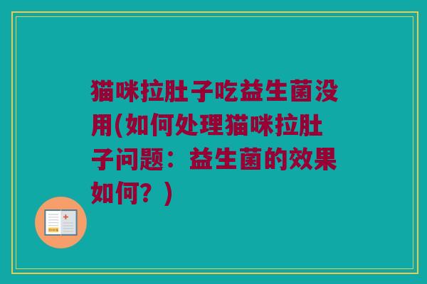 猫咪拉肚子吃益生菌没用(如何处理猫咪拉肚子问题：益生菌的效果如何？)