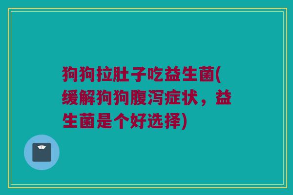 狗狗拉肚子吃益生菌(缓解狗狗腹泻症状，益生菌是个好选择)