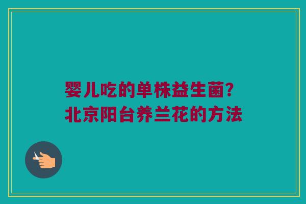 婴儿吃的单株益生菌？北京阳台养兰花的方法