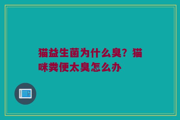 猫益生菌为什么臭?猫咪粪便太臭怎么办 猫益生菌为什么臭?猫咪粪便太臭怎么办