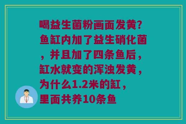 喝益生菌粉画面发黄？鱼缸内加了益生硝化菌，并且加了四条鱼后，缸水就变的浑浊发黄，为什么1.2米的缸，里面共养10条鱼