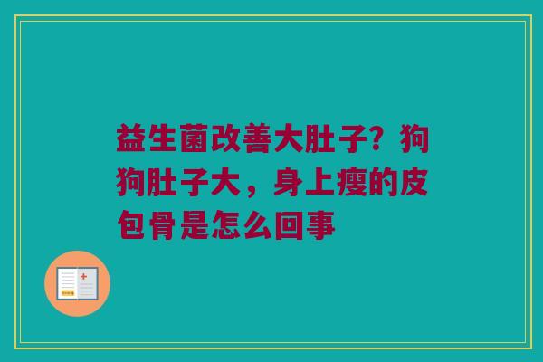 益生菌改善大肚子？狗狗肚子大，身上瘦的皮包骨是怎么回事