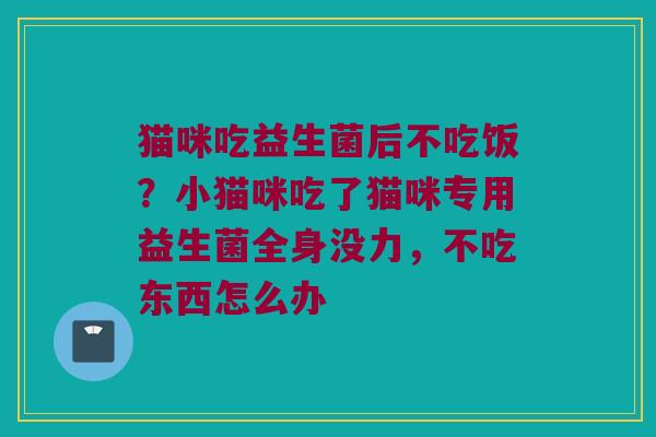 猫咪吃益生菌后不吃饭?小猫咪吃了猫咪专用益生菌全身没力,不吃东西怎么办 猫咪吃益生菌后不吃饭?小猫咪吃了猫咪专用益生菌全身没力,不吃东西怎么办