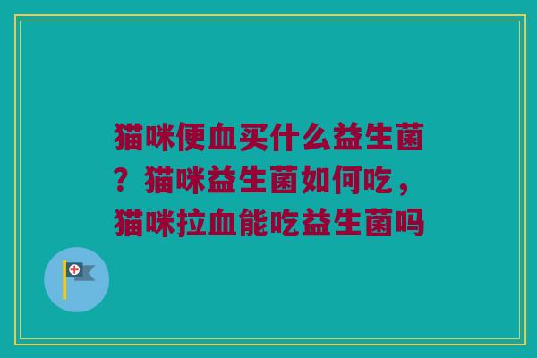 猫咪便血买什么益生菌？猫咪益生菌如何吃，猫咪拉血能吃益生菌吗
