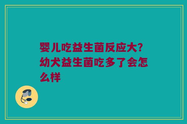 婴儿吃益生菌反应大？幼犬益生菌吃多了会怎么样