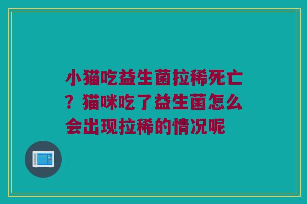 小猫吃益生菌拉稀死亡?猫咪吃了益生菌怎么会出现拉稀的情况呢 小猫吃益生菌拉稀死亡?猫咪吃了益生菌怎么会出现拉稀的情况呢