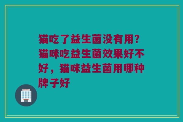 猫吃了益生菌没有用？猫咪吃益生菌效果好不好，猫咪益生菌用哪种牌子好