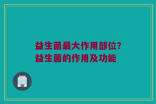 益生菌最大作用部位？益生菌的作用及功能