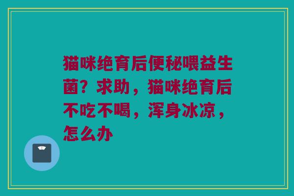 猫咪绝育后便秘喂益生菌？求助，猫咪绝育后不吃不喝，浑身冰凉，怎么办