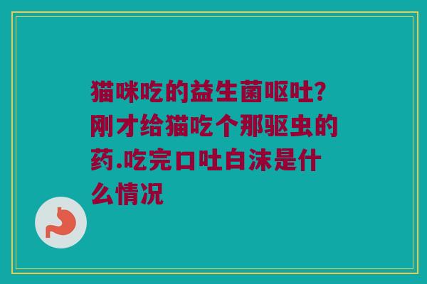 猫咪吃的益生菌呕吐？刚才给猫吃个那驱虫的药.吃完口吐白沫是什么情况