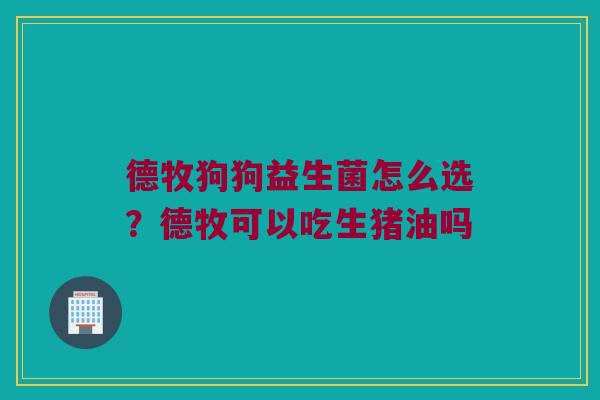 德牧狗狗益生菌怎么选？德牧可以吃生猪油吗
