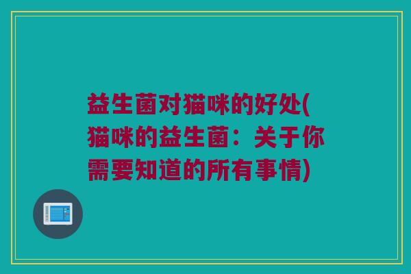 益生菌对猫咪的好处(猫咪的益生菌：关于你需要知道的所有事情)