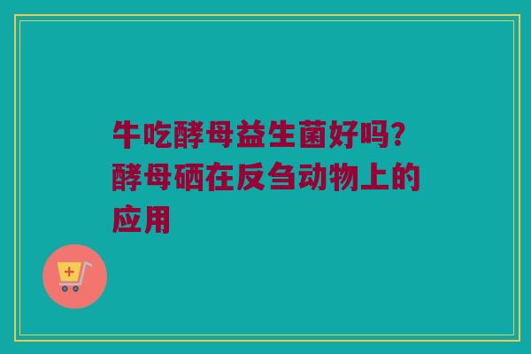 牛吃酵母益生菌好吗？酵母硒在反刍动物上的应用