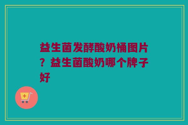 益生菌发酵酸奶桶图片？益生菌酸奶哪个牌子好