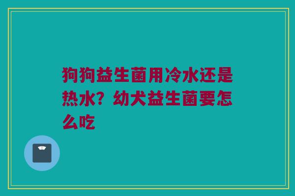 狗狗益生菌用冷水还是热水?幼犬益生菌要怎么吃 狗狗益生菌用冷水还是热水?幼犬益生菌要怎么吃