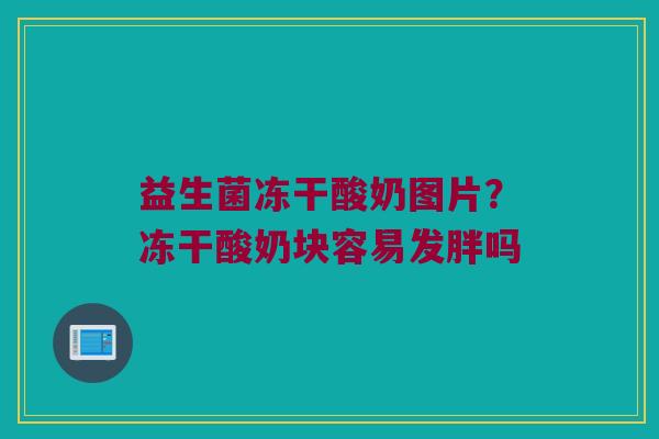 益生菌冻干酸奶图片？冻干酸奶块容易发胖吗