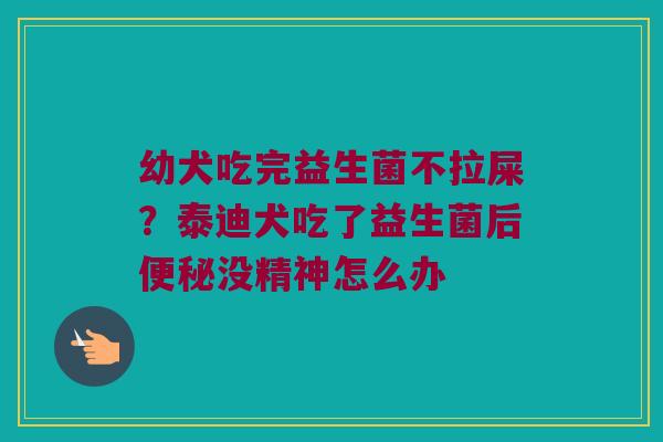 幼犬吃完益生菌不拉屎?泰迪犬吃了益生菌后没精神怎么办 幼犬吃完益生菌不拉屎?泰迪犬吃了益生菌后没精神怎么办