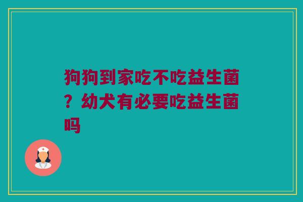 狗狗到家吃不吃益生菌?幼犬有必要吃益生菌吗 狗狗到家吃不吃益生菌?幼犬有必要吃益生菌吗