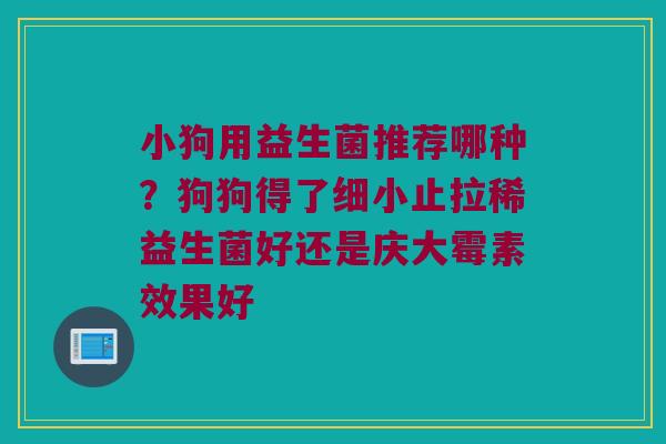 小狗用益生菌推荐哪种?狗狗得了细小止拉稀益生菌好还是庆大霉素效果好 小狗用益生菌推荐哪种?狗狗得了细小止拉稀益生菌好还是庆大霉素效果好