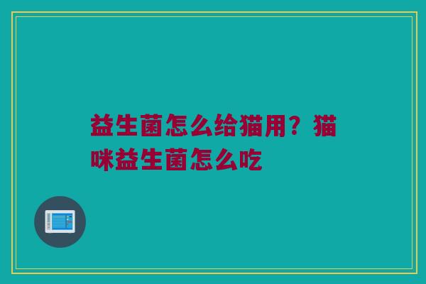 益生菌怎么给猫用?猫咪益生菌怎么吃 益生菌怎么给猫用?猫咪益生菌怎么吃