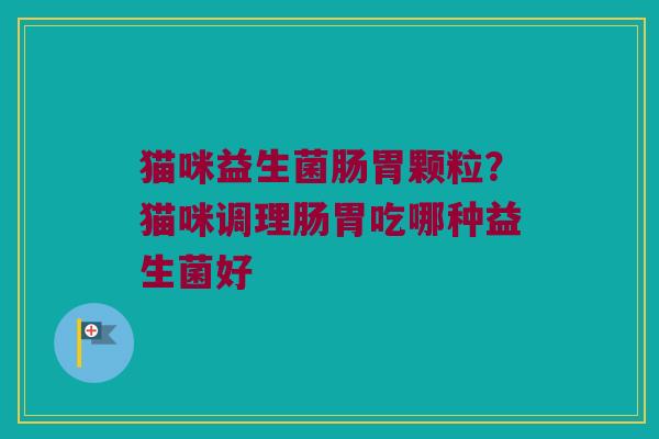 猫咪益生菌肠胃颗粒？猫咪调理肠胃吃哪种益生菌好
