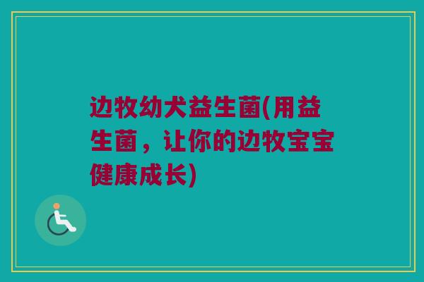 边牧幼犬益生菌(用益生菌，让你的边牧宝宝健康成长)