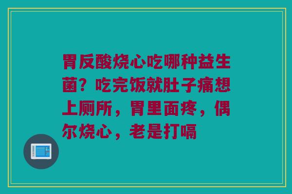 胃反酸烧心吃哪种益生菌？吃完饭就肚子痛想上厕所，胃里面疼，偶尔烧心，老是打嗝