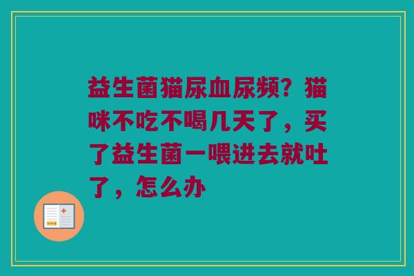 益生菌猫尿血尿频？猫咪不吃不喝几天了，买了益生菌一喂进去就吐了，怎么办