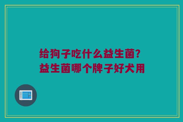 给狗子吃什么益生菌？益生菌哪个牌子好犬用
