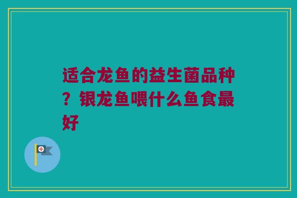 适合龙鱼的益生菌品种？银龙鱼喂什么鱼食最好
