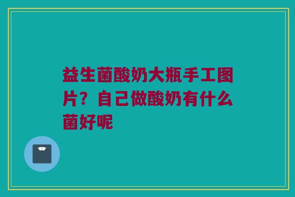 益生菌酸奶大瓶手工图片？自己做酸奶有什么菌好呢