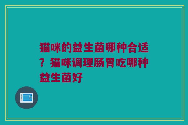 猫咪的益生菌哪种合适？猫咪调理肠胃吃哪种益生菌好