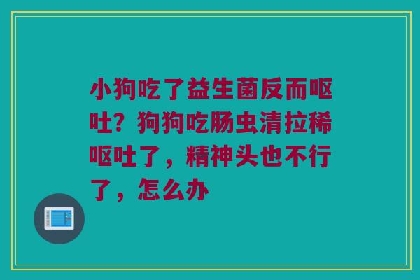 小狗吃了益生菌反而呕吐？狗狗吃肠虫清拉稀呕吐了，精神头也不行了，怎么办