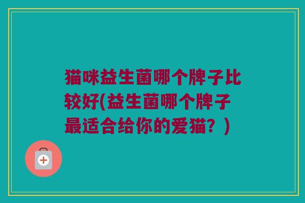 猫咪益生菌哪个牌子比较好(益生菌哪个牌子最适合给你的爱猫？)